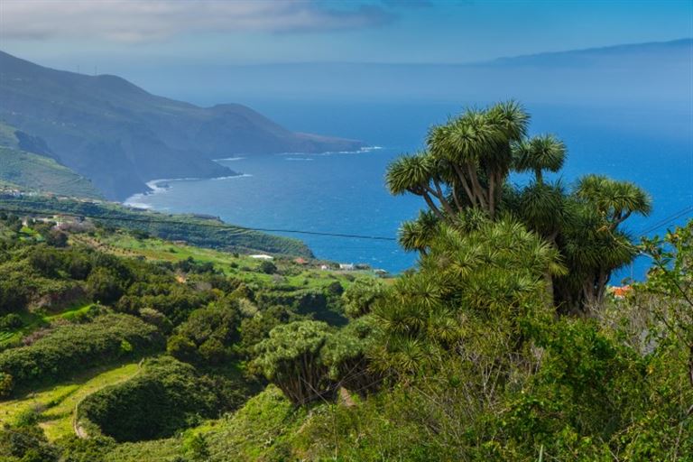 La Palma für Singles und Alleinreisende – Rundreise
