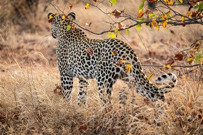 Südafrika zum Verweilen  – Rundreise