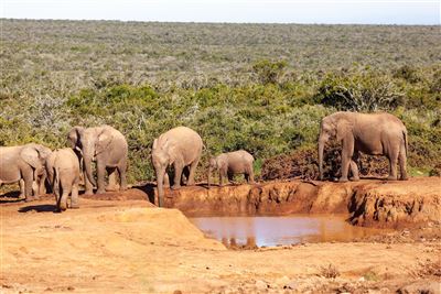 Erlebnis Gartenroute, Karoo & Addo – Rundreise