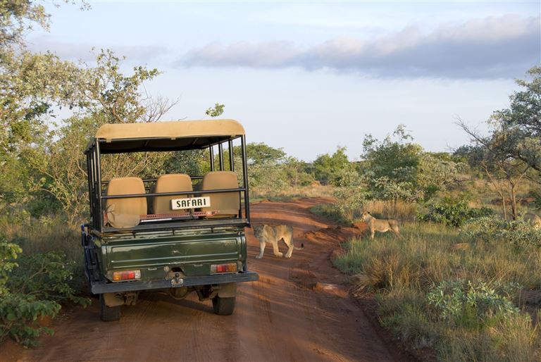 Safari & Sonne - Südafrika & Mozambique erleben – Rundreise