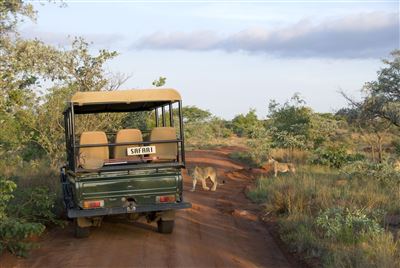 Safari & Sonne - Südafrika & Mozambique erleben – Rundreise