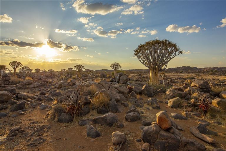 Best of Namibia  ©SimonSkafar/istock