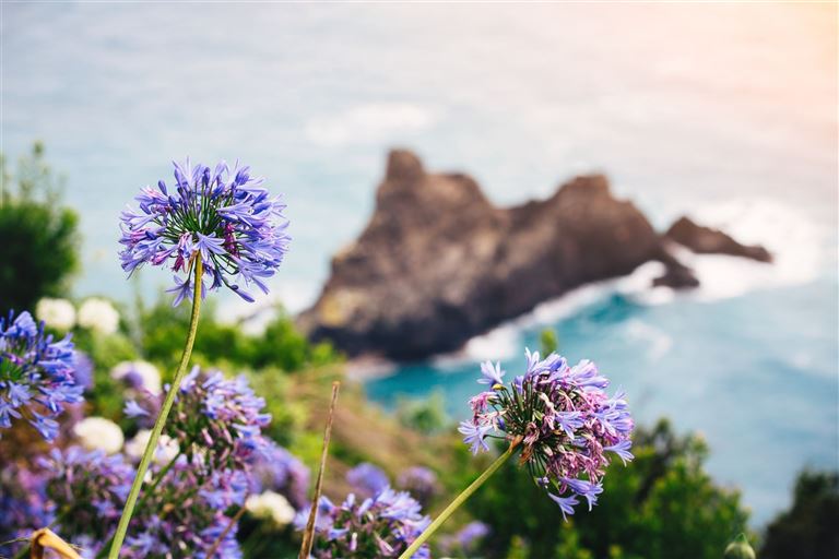 Lissabon und Madeira - Weiße Stadt und Blumeninsel @borchee/istock
