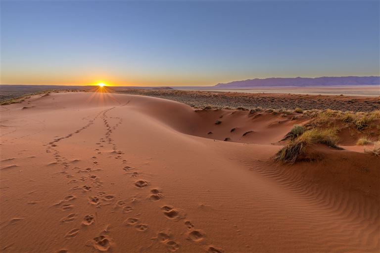 Namibias Nationalparks ©HannesThirion/adobestock