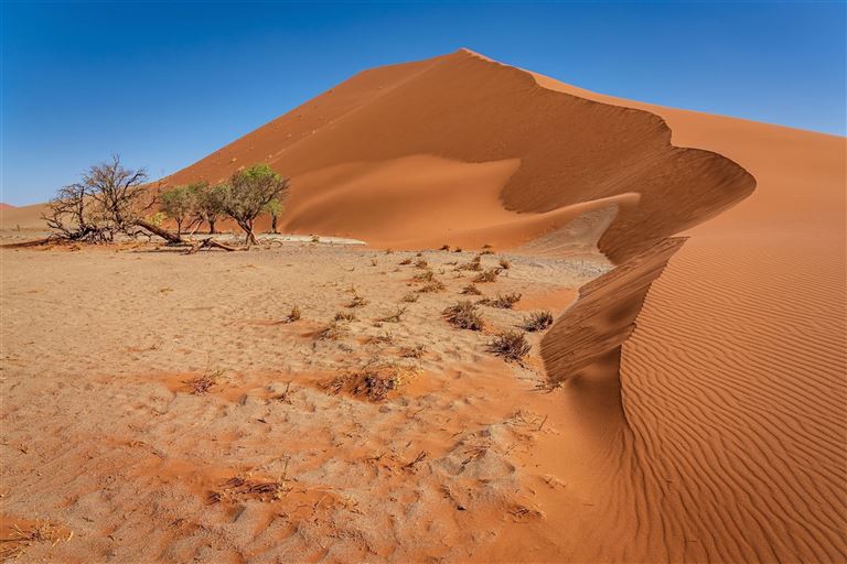 Made in Namibia – Rundreise