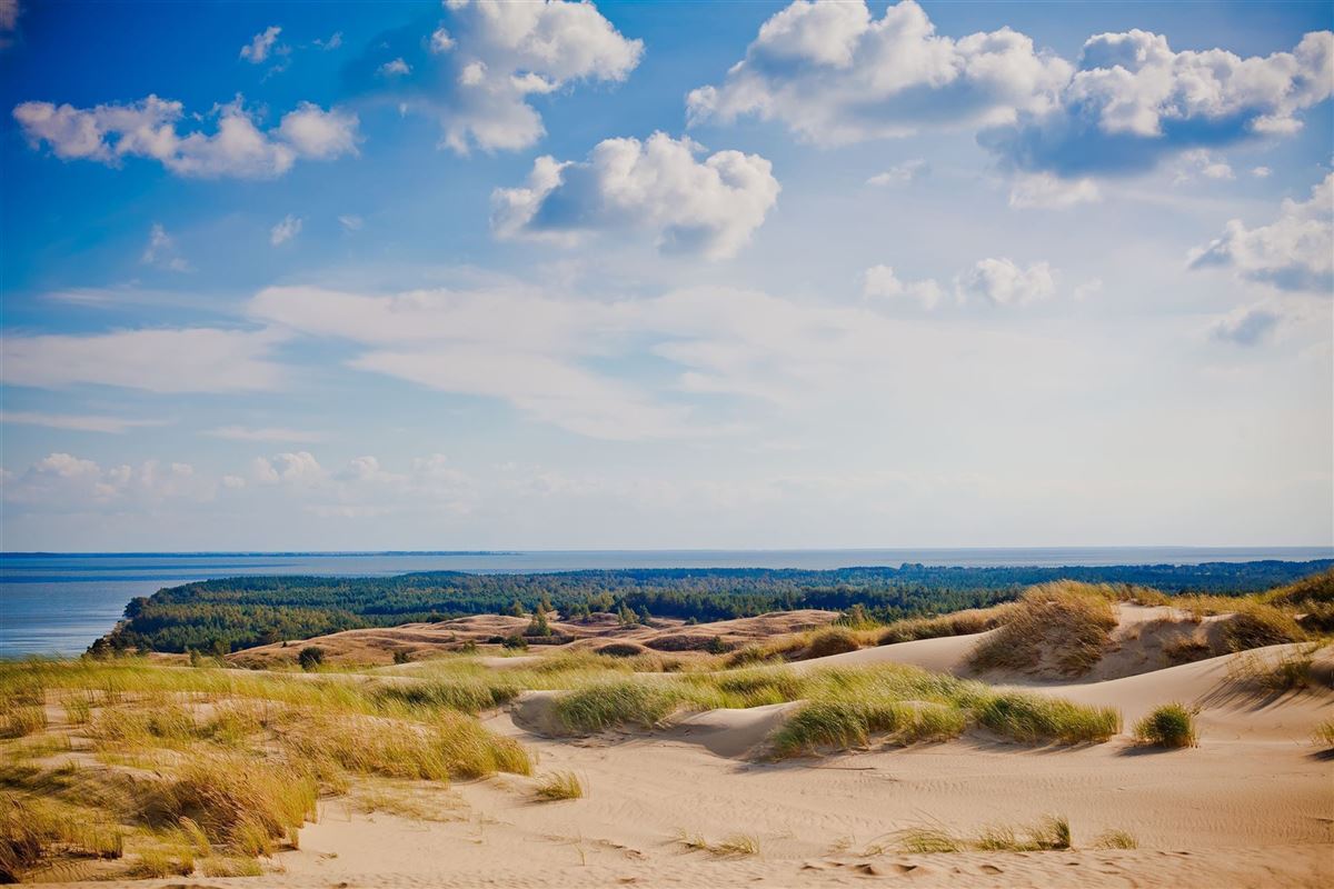 Litauen Kurische Nehrung