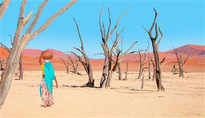 Namibias Nationalparks – Rundreise