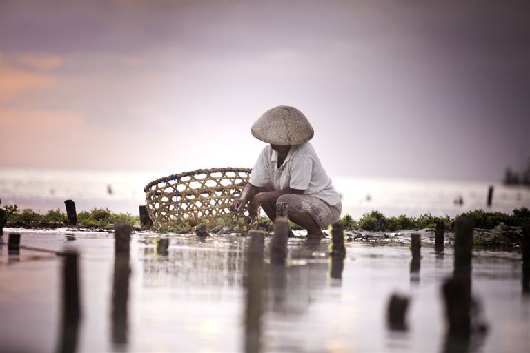 Nationalparks in Westbali und Ostjava  – Rundreise