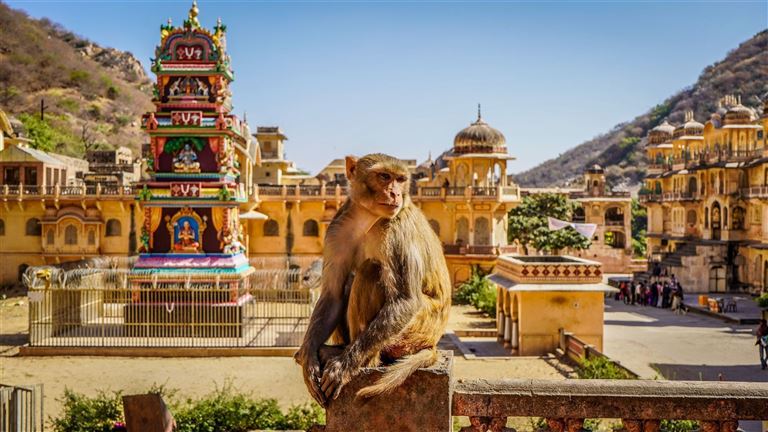 Rajasthan in Style  – Rundreise