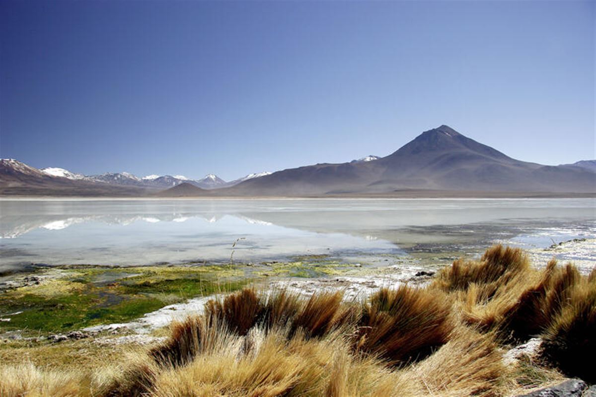 Hochlandlagune-Atacamawüste-Chile.jpg