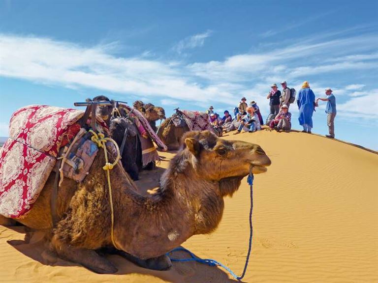 Wüstentrekking in der Sahara © by Studiosus Reisen
