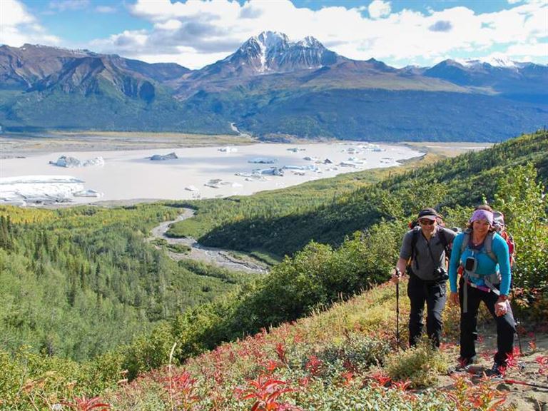Denali Nationalpark & Kenai-Halbinsel – Rundreise