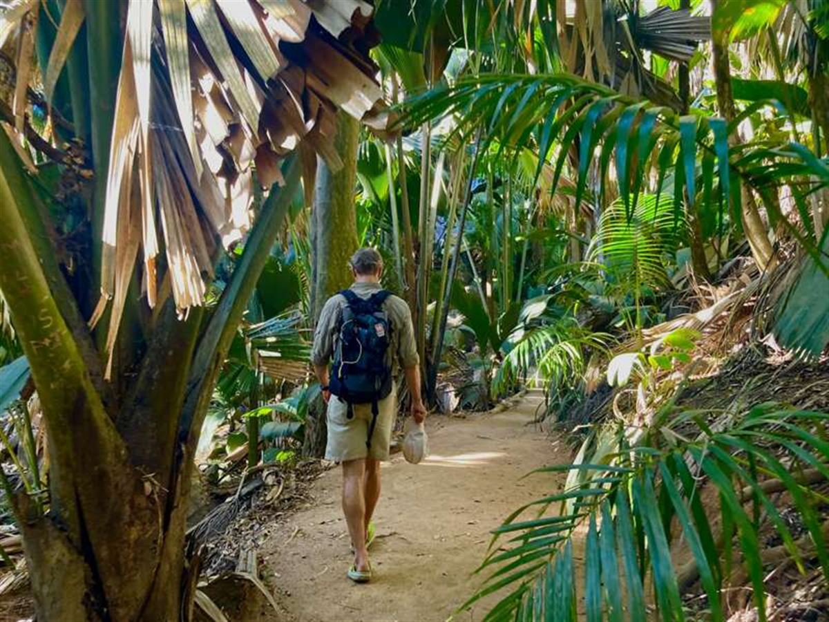 valle-de-mai,-praslin.jpg
