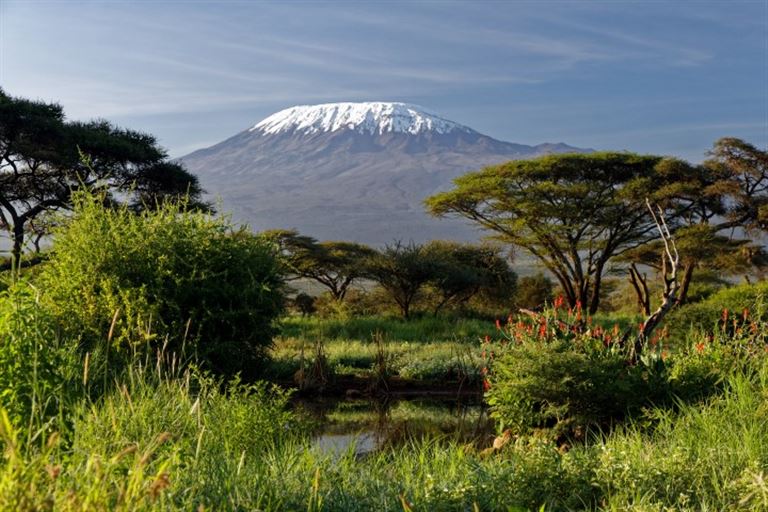 Kilimanjaro-Besteigung über die Marangu-Route ©Willy /adobestock