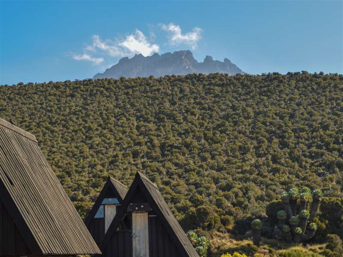 horombo-huette-vor-dem-hintergrund-der-mawenzispitze-,-mt-kilimanjaro,-tansania.jpg