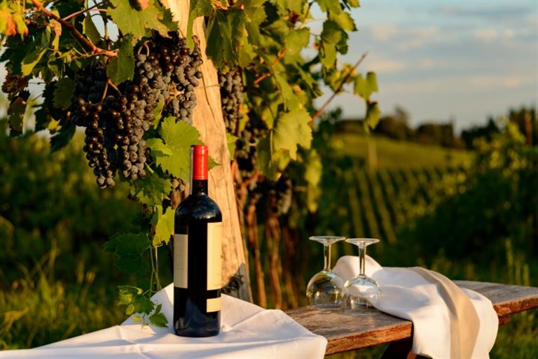 Chianti und Vino Nobile – Rundreise