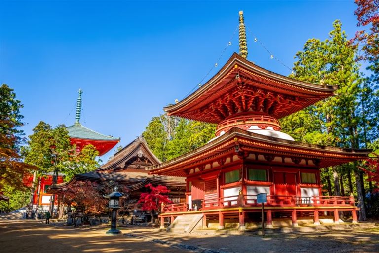 Japan in der Mini-Gruppe © spozhoga /adobestock