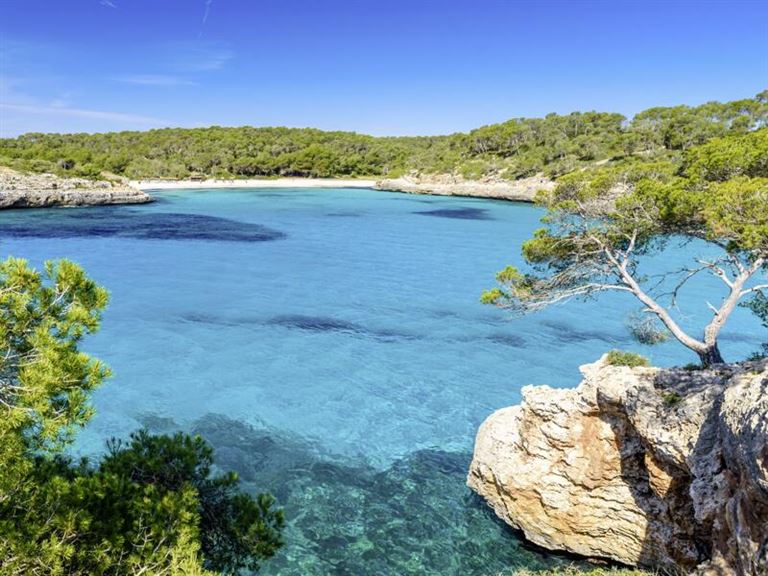 Mallorca: Zeit für neue Perspektiven © by Studiosus Reisen