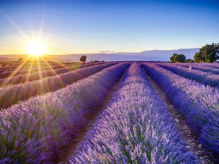 Provence: Savoir-vivre – Rundreise