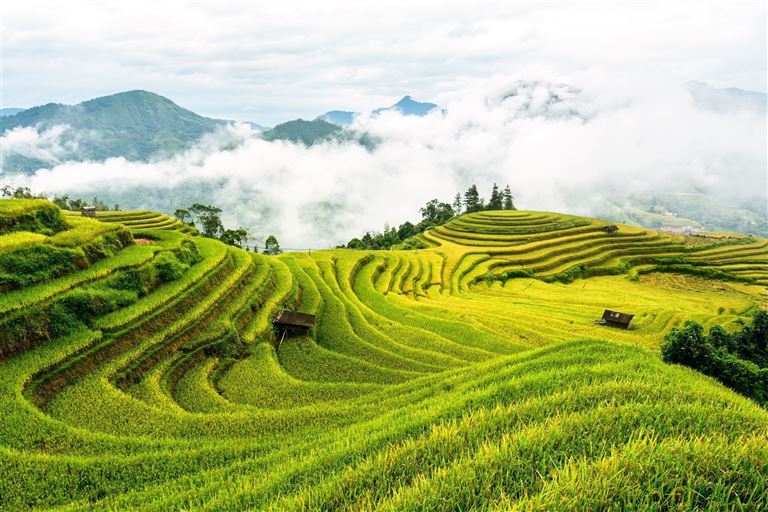 Highlights Vietnam mit Sapa  – Rundreise