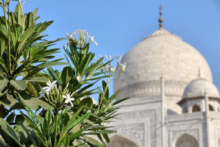 Rajasthan mit Flair © Stefanie /adobestock