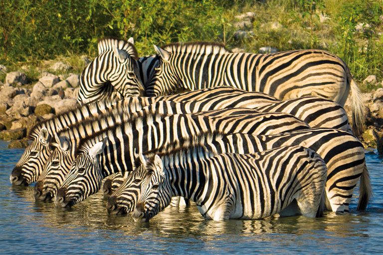 Entdeckungsreise Namibia © by Gebeco