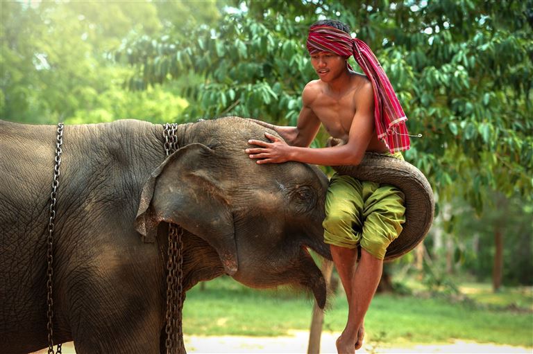 Von Angkor in den ursprünglichen Nordosten – Rundreise