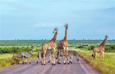 Südliches Afrika - Sinfonie der Naturwunder – Rundreise