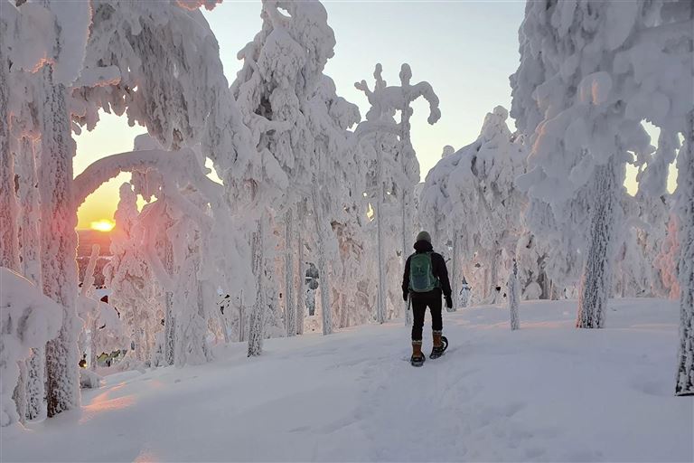 Lappland - Erlebnis pur © by Wolters Reisen