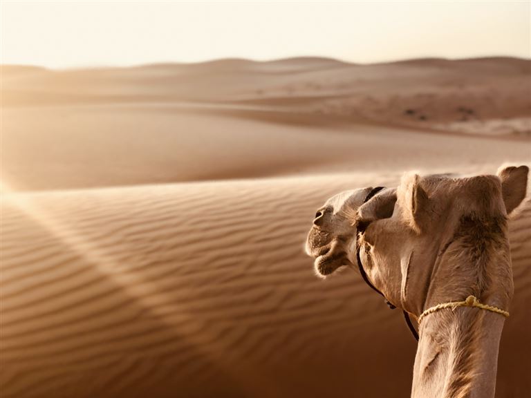 Impressionen Oman – Rundreise