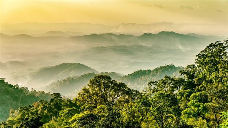 Multikulturelles Malaysia und Borneo – Rundreise
