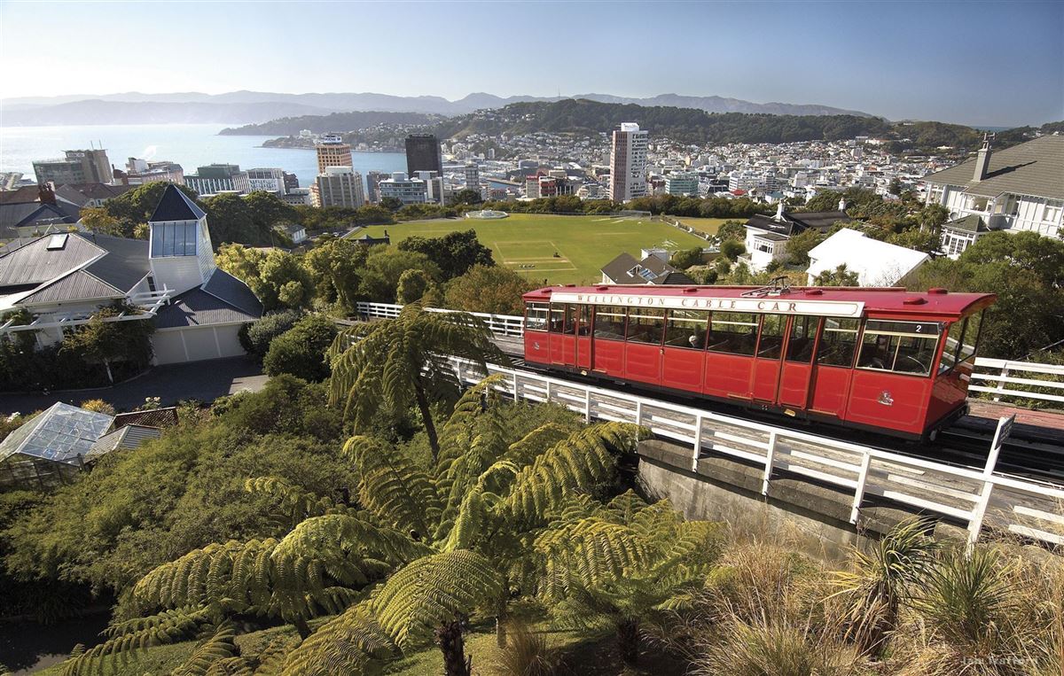 Blick auf Wellington