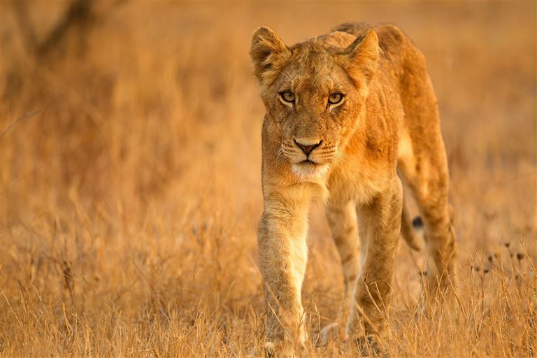 Magisches Afrika: Eine Reise durch vier Länder © by Berge & Meer Touristik GmbH