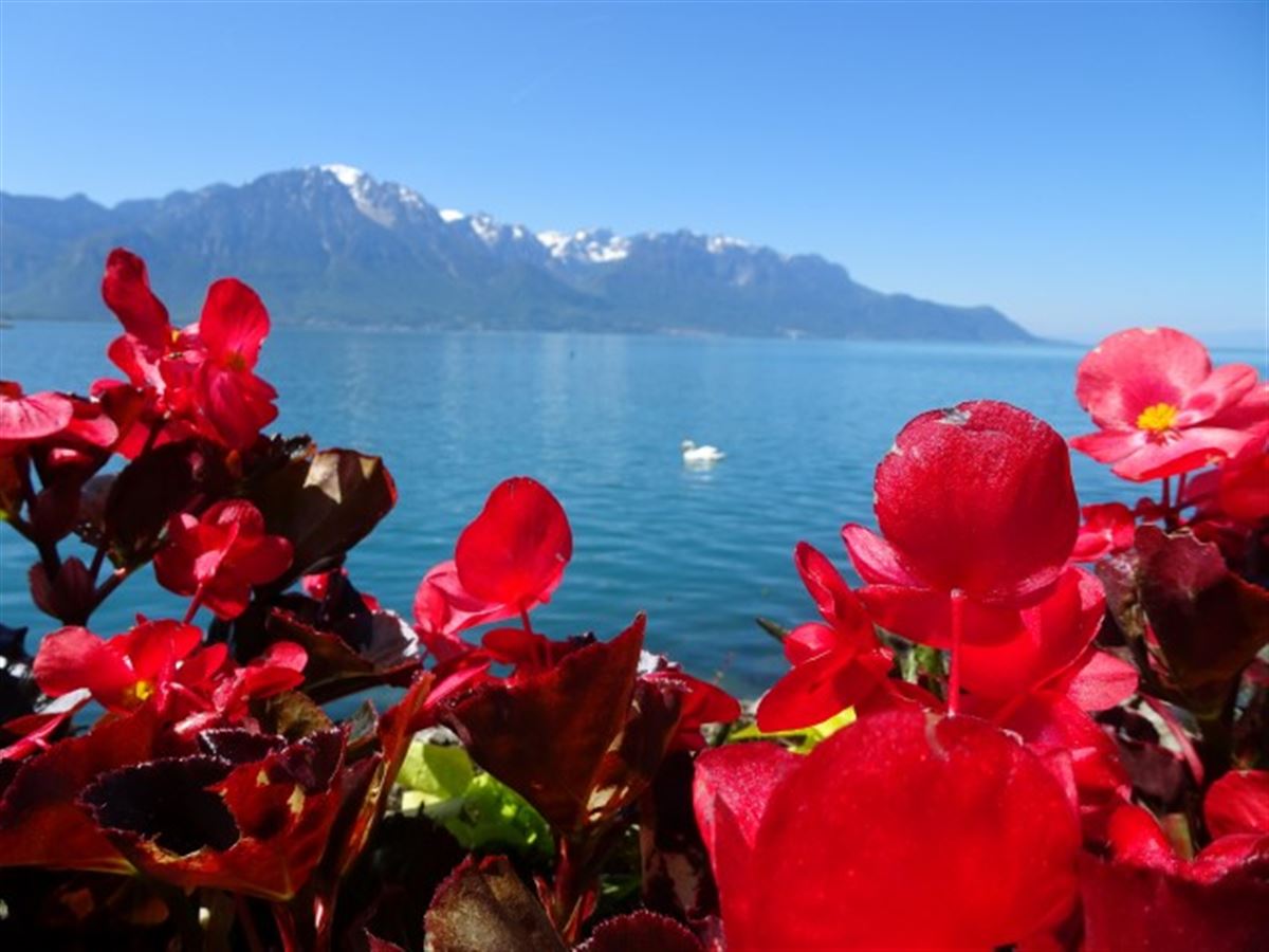 Genfer See