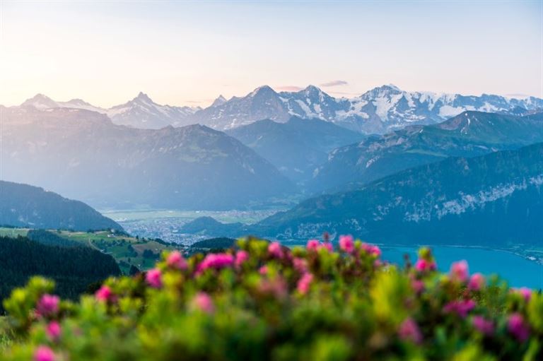 Top of Europe und Titlis – Rundreise