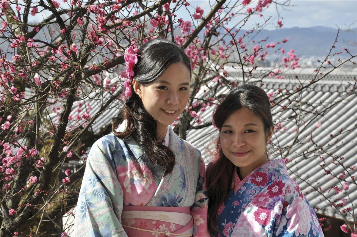 Damen Japan