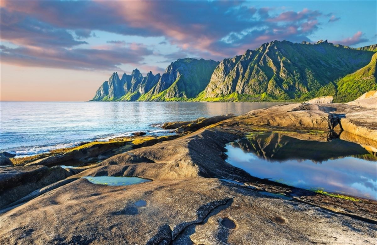 Rock Davils Kiefer. Norwey, Insel Senja