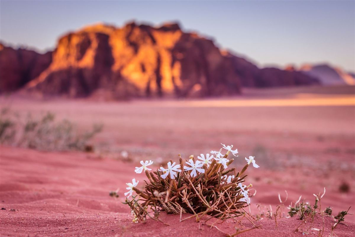 Jordanien