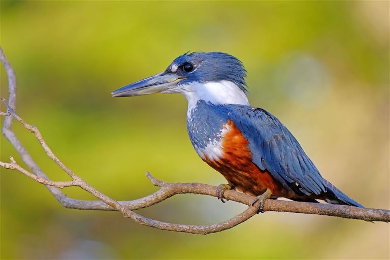 Höhepunkte Brasilien – Rundreise