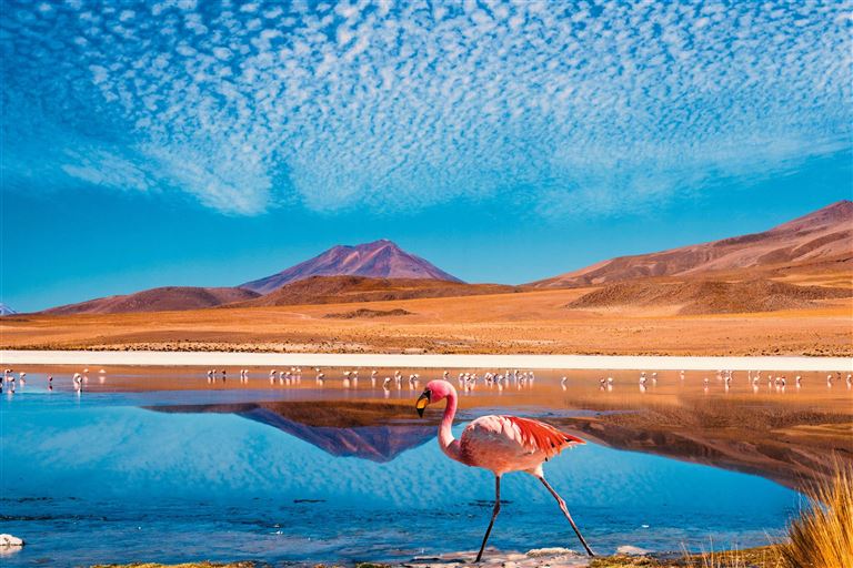 Höhepunkte Chile © by SKR Reisen GmbH