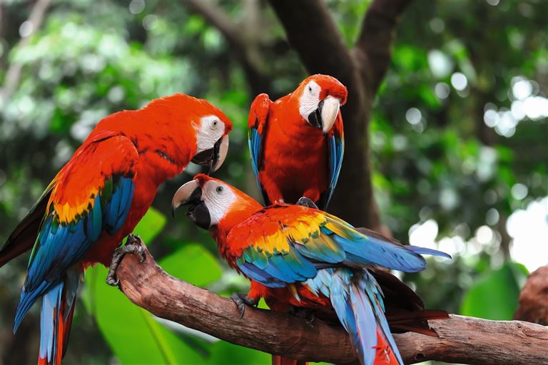 Die ausführliche Peru Reise – Rundreise