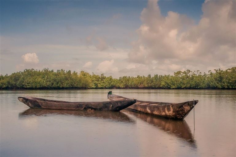 Mandinka, Mangroven und Meer © by DIAMIR Erlebnisreisen GmbH