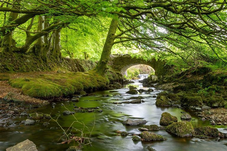 Naturwunder Devon & Cornwall – Rundreise