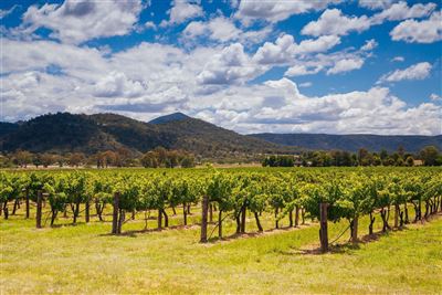 New South Wales
