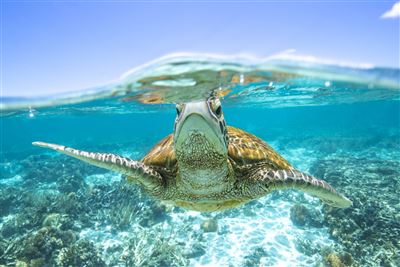 Queensland