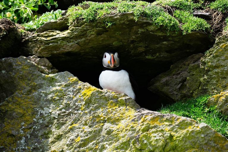 Roadtrip Wild Atlantic Way – Rundreise