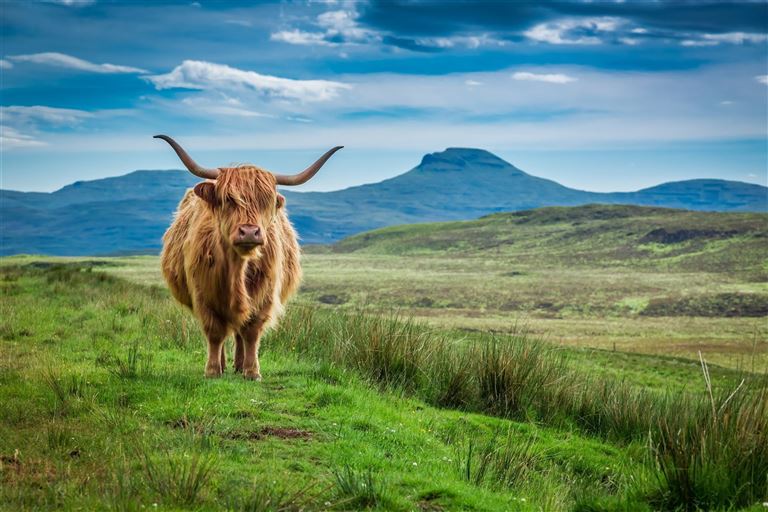 Schottland für Einsteiger ©shaiith/adobestock