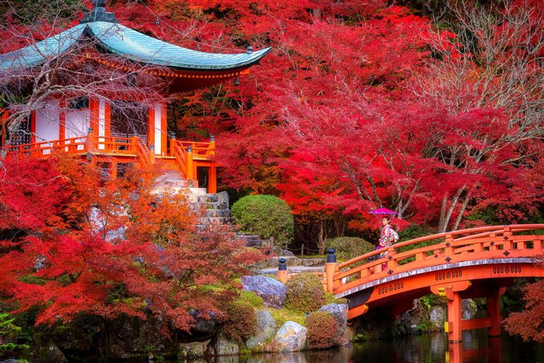 Kyoto @anekoho/adobestock