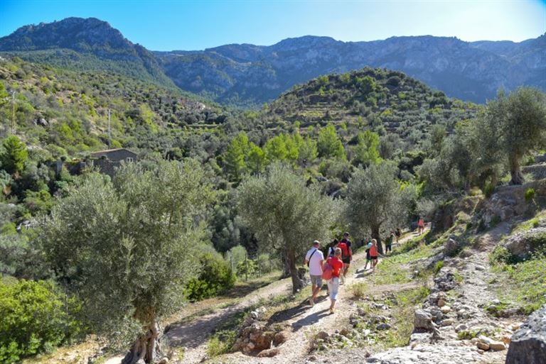 Steilküsten und Traumbuchten rund um Puerto Sóller – Rundreise