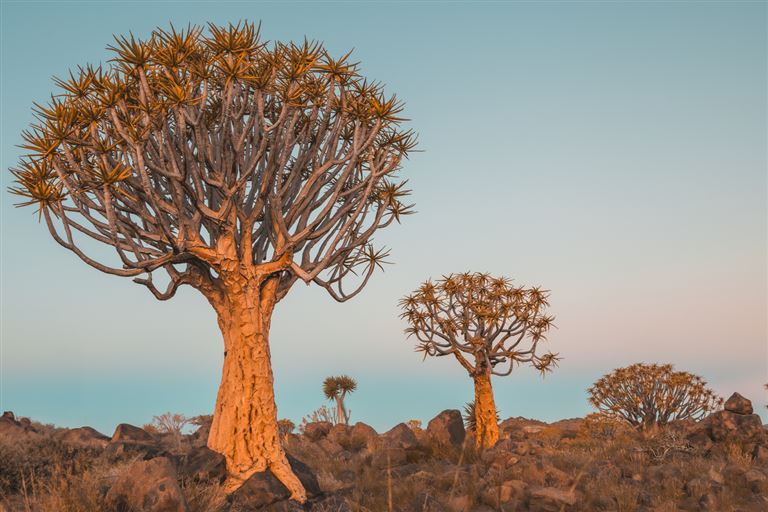 Namibia erleben – Rundreise